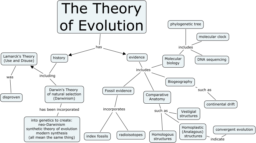Evolution Concept Map Answer Key
